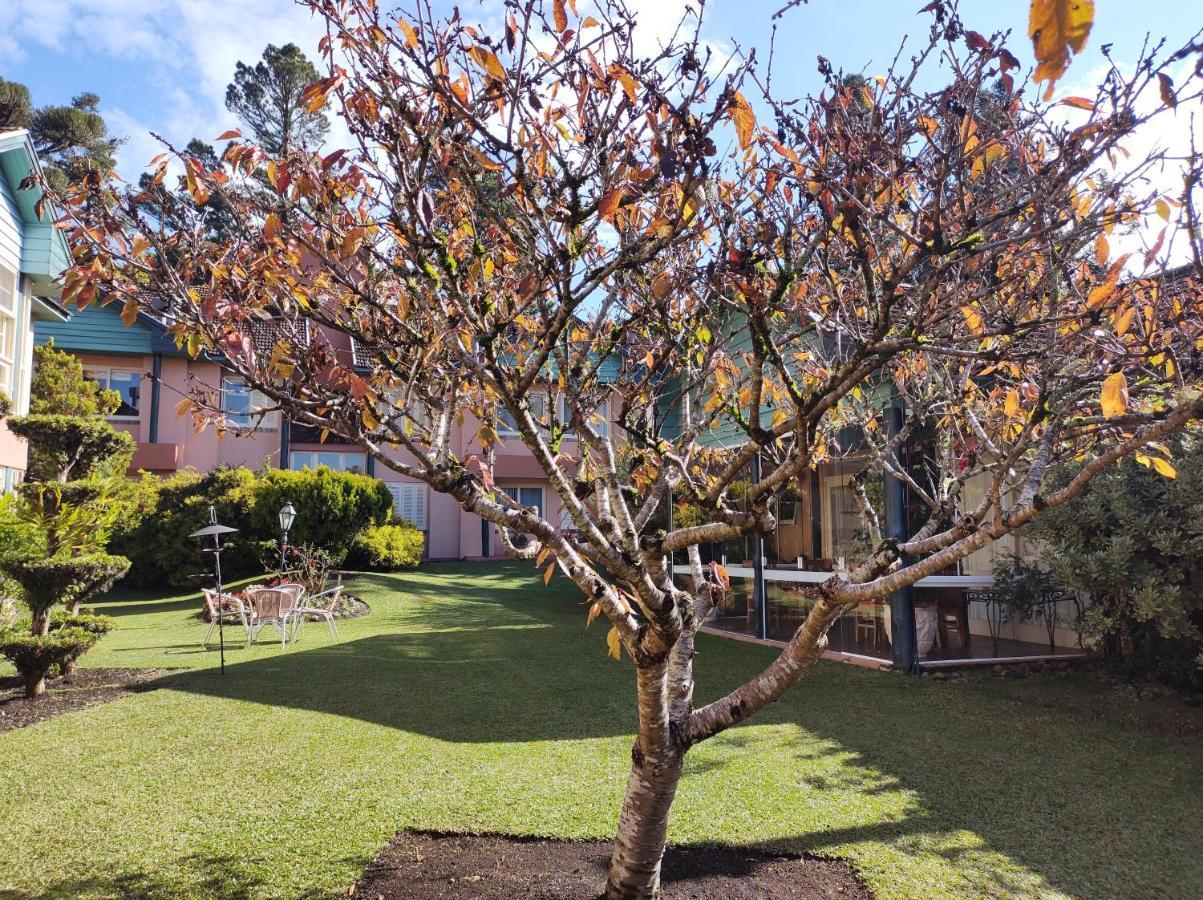 Agradavel Apt 2Quartos Para Familia Prox Ao Lago Negro - 4 Min Do Centro- Com Churrasqueira Gramado Buitenkant foto