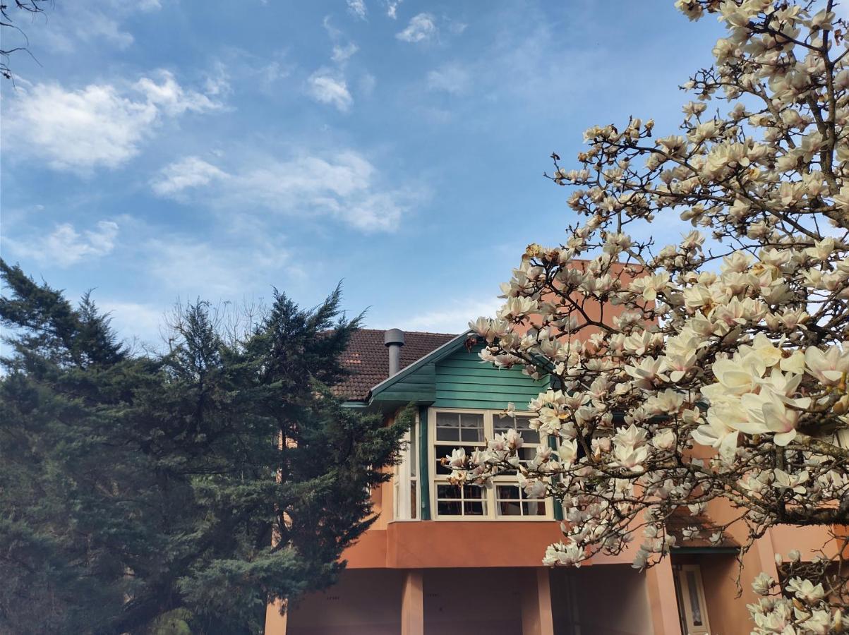 Agradavel Apt 2Quartos Para Familia Prox Ao Lago Negro - 4 Min Do Centro- Com Churrasqueira Gramado Buitenkant foto